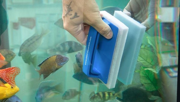 Ersatzpad Superclean Pad grau 100x150mm für Catfish-Halter 2 Stück