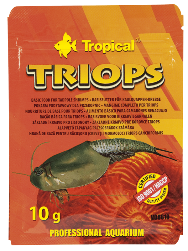 Tropical Triops 10g