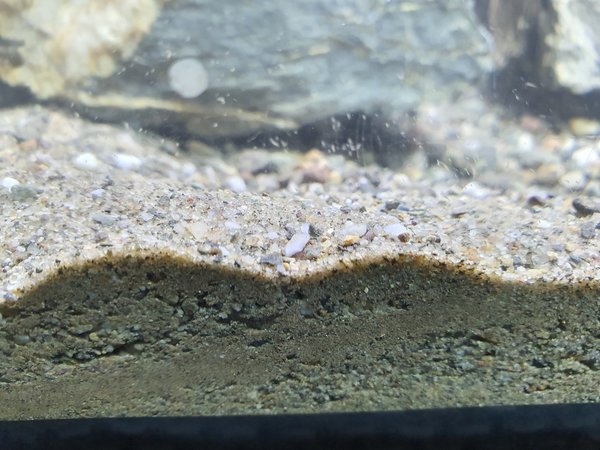 Flusssand Dunkel 0-2mm