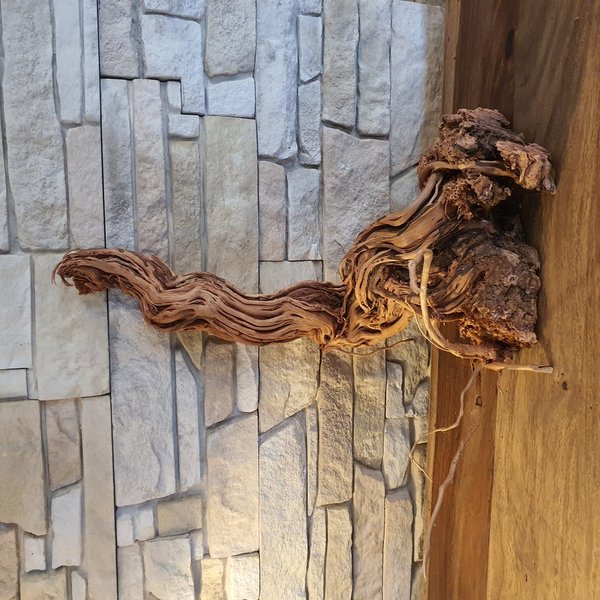 Aquascaping Woog / Dragon Wood
