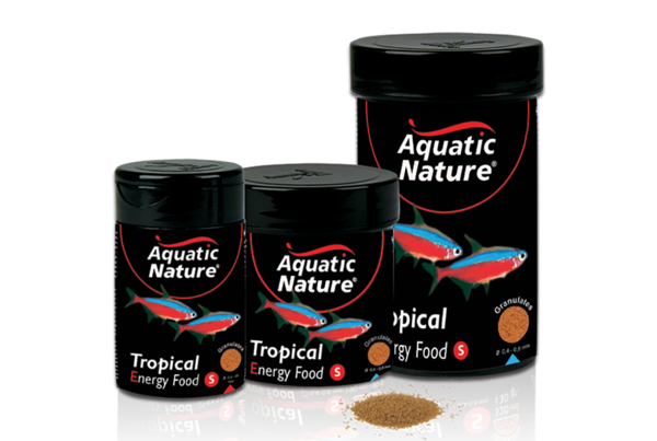Aquatic Nature Tropical Energy Food S