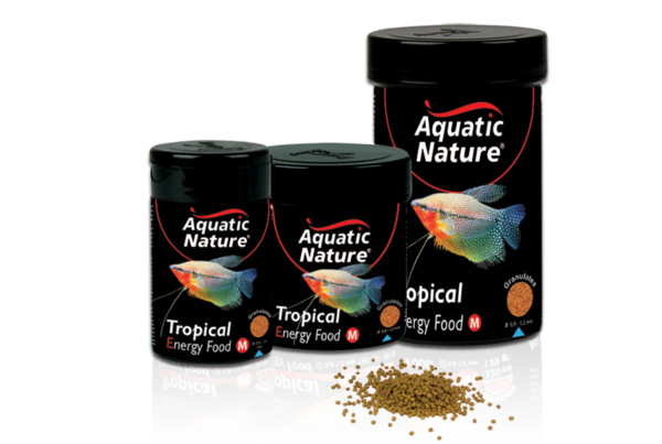 Aquatic Nature Tropical Energy Food M