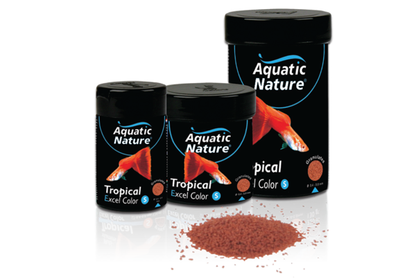 Aquatic Nature Tropical Excel Color S