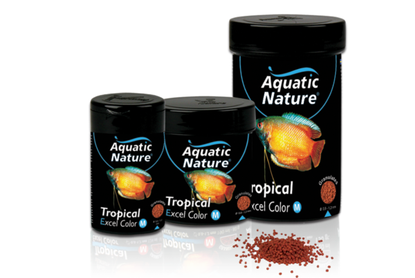 Aquatic Nature Tropical Excel Color M