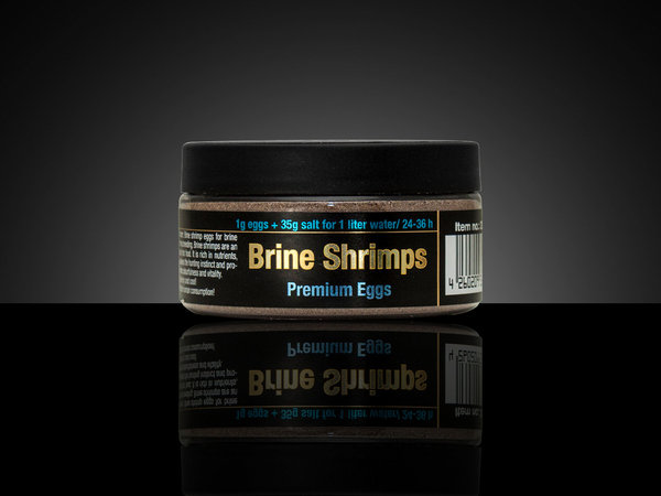 Discusfood Artemia / Brine Shrimps Premium Eggs 50g zum Ausbrüten