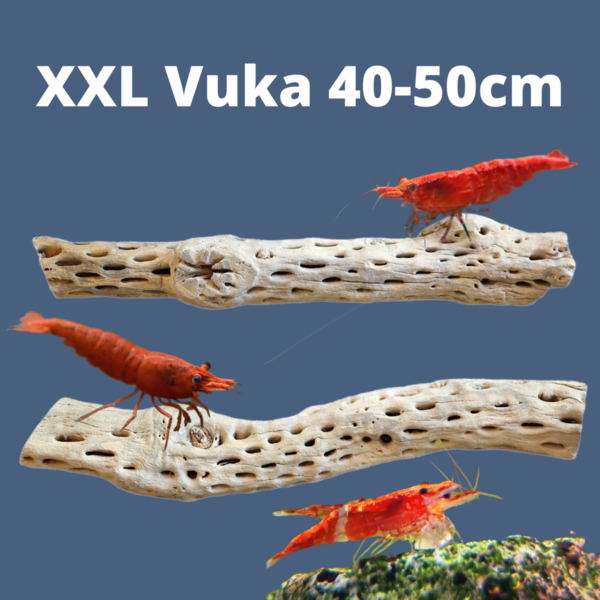 XXL Vuka Holz 40-50cm