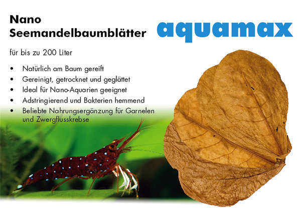 aquamax Seemandelbaumblätter nano 10 Stück