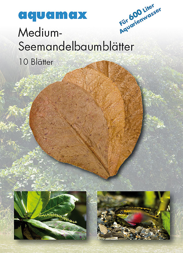 aquamax Seemandelbaumblätter medium 10 Stück